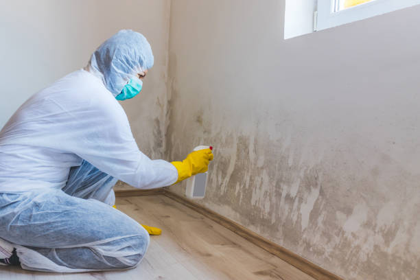Licensed Commercial Mold Remediation service in Manville, NJ - WQB Mold Removal
