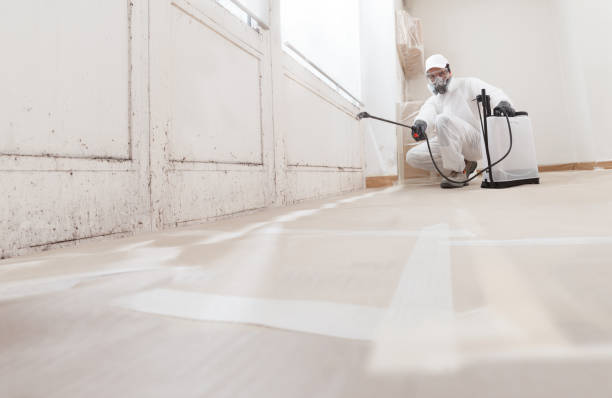 24/7 Emergency Commercial Mold Remediation experts in Manville, NJ