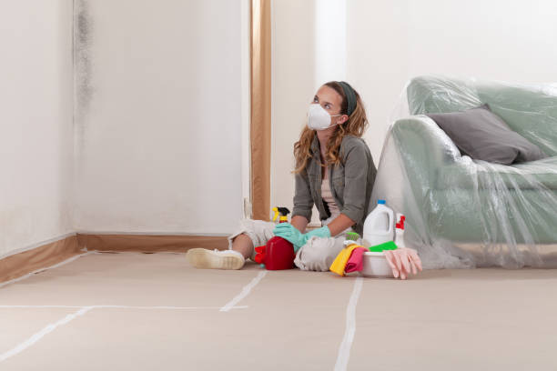 Reliable Commercial Mold Remediation contractor in Manville, NJ by WQB Mold Removal